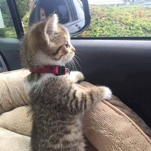 Meet your Posher, Kathy